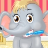 Baby Elephant Salon